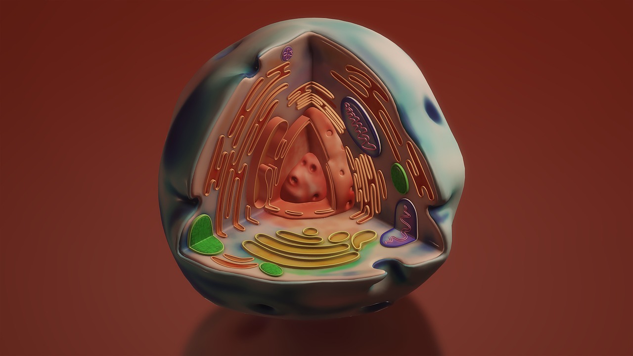 The Hidden Memory of Your Fat Cells