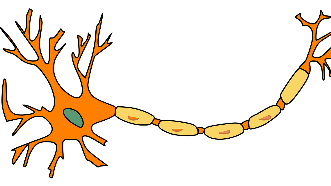 Do Neurons Have Hidden Control Knobs?