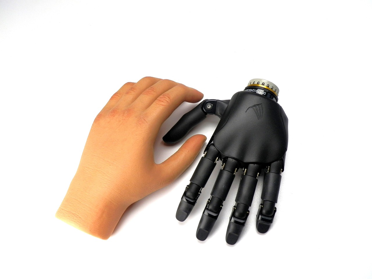 Hybrid Hands: The Future of Prosthetics