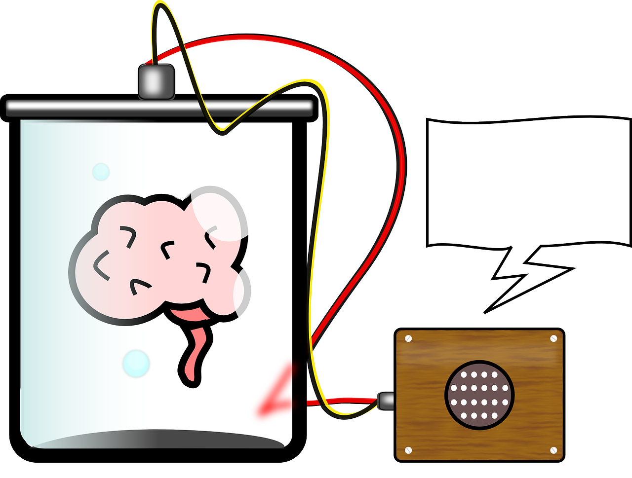 Image by OpenClipart-Vectors from Pixabay