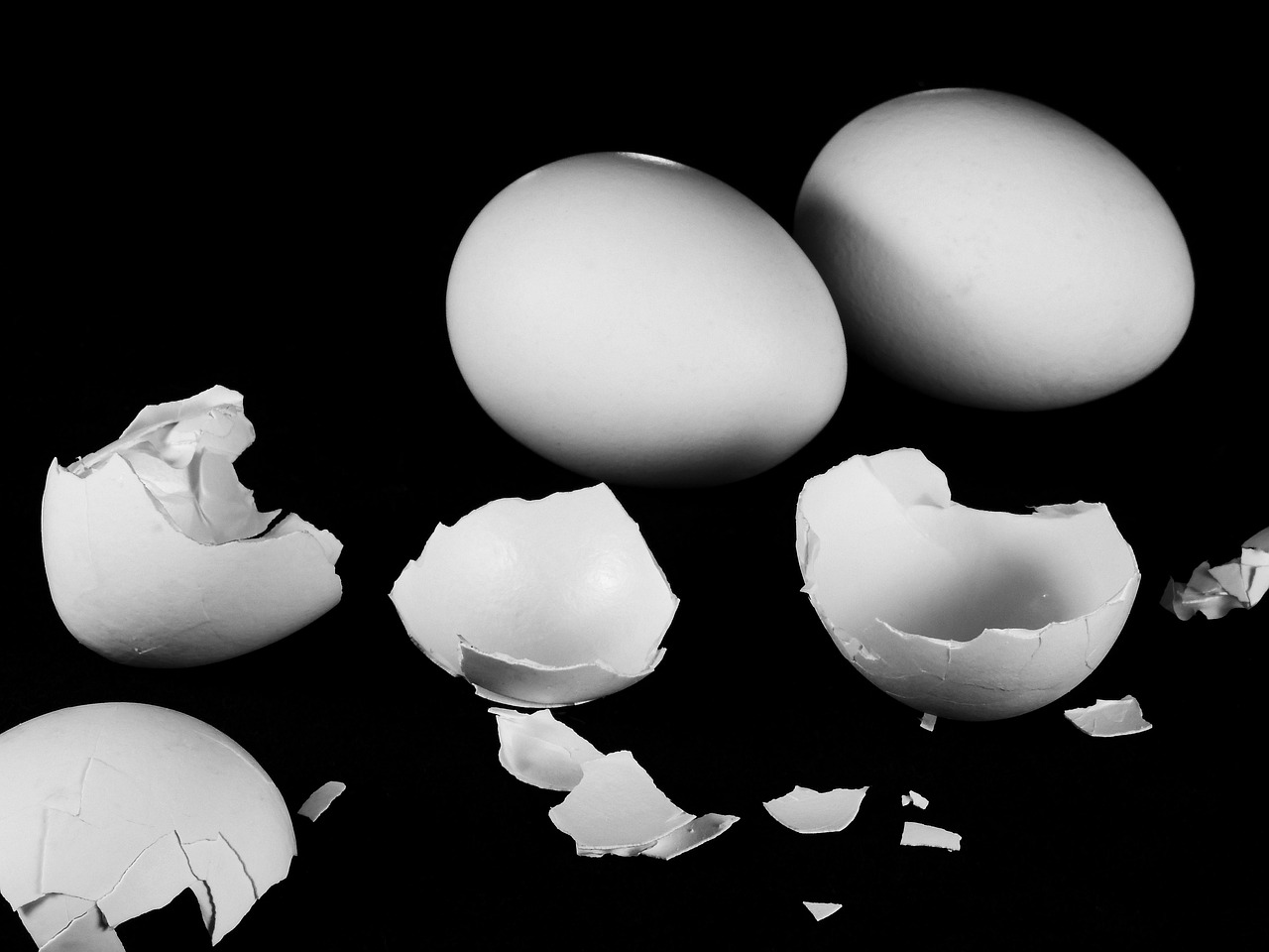 New Study Changes Egg Cracking Beliefs