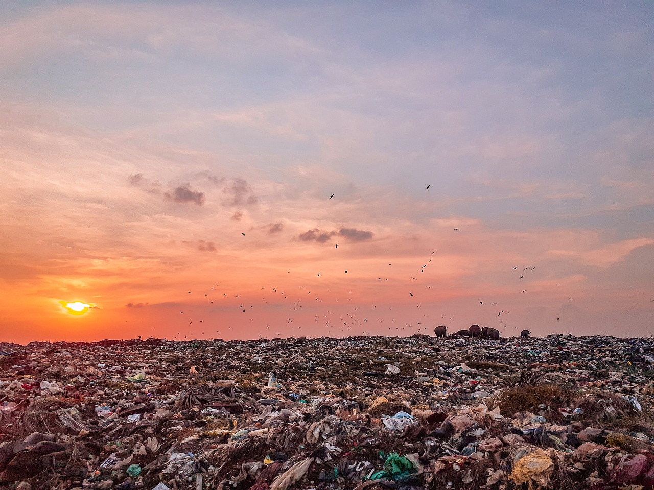 A Call for Better Waste Policies