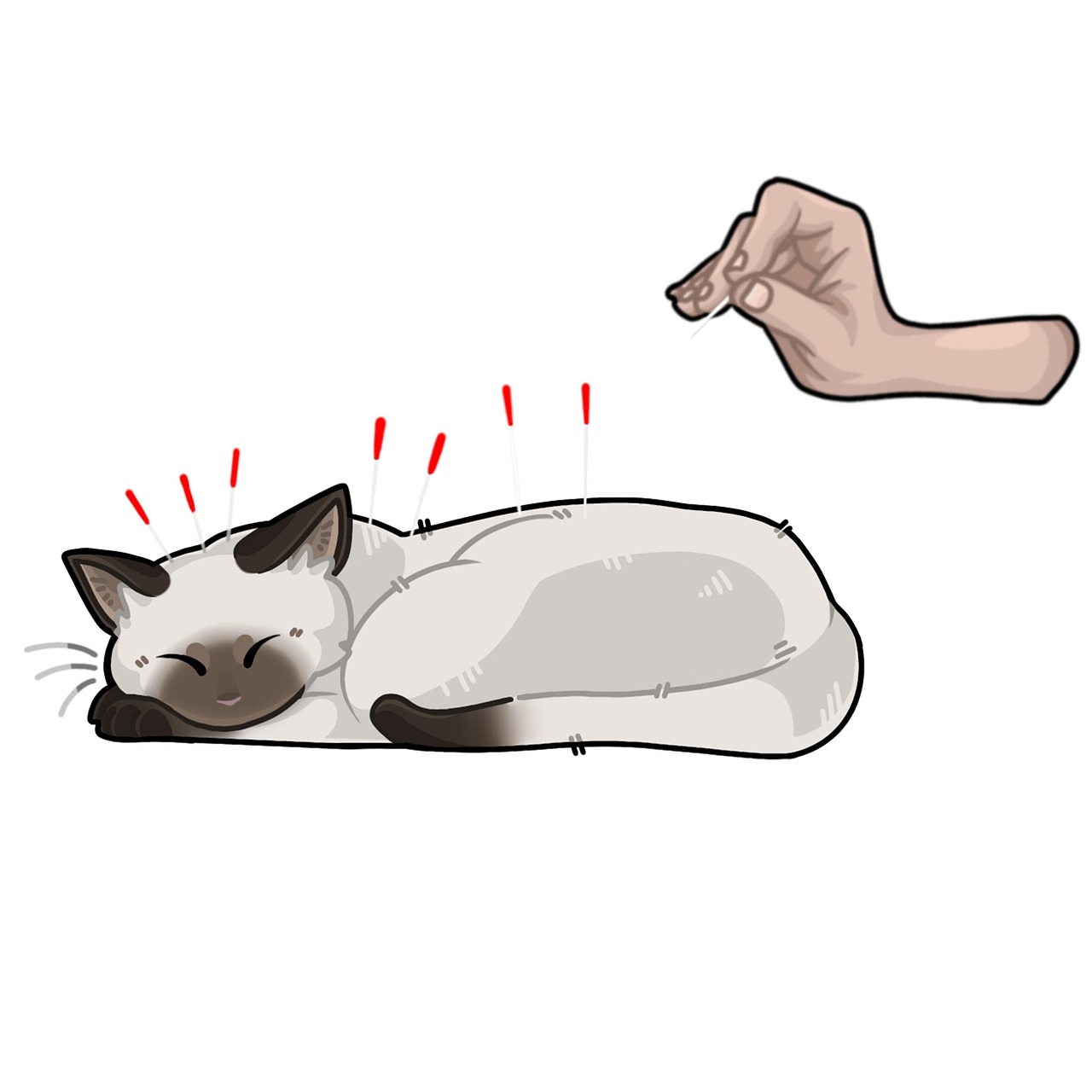 Pet acupuncture: what the science says